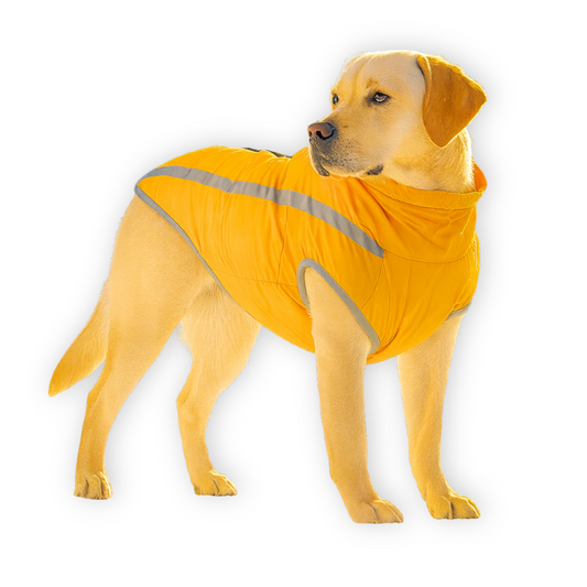 Waterproof Reflective Dog Coat for Medium and Large Breeds – Outdoor Jacket